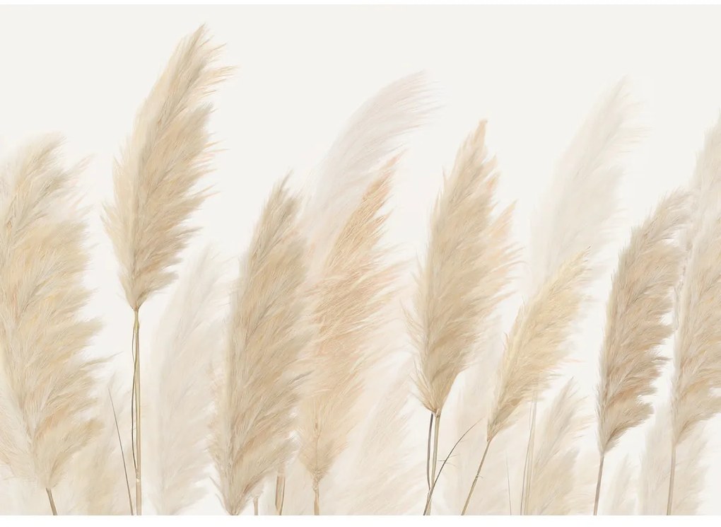 XXL fotótapéta Pampas 360 x 254 cm, 4 részes