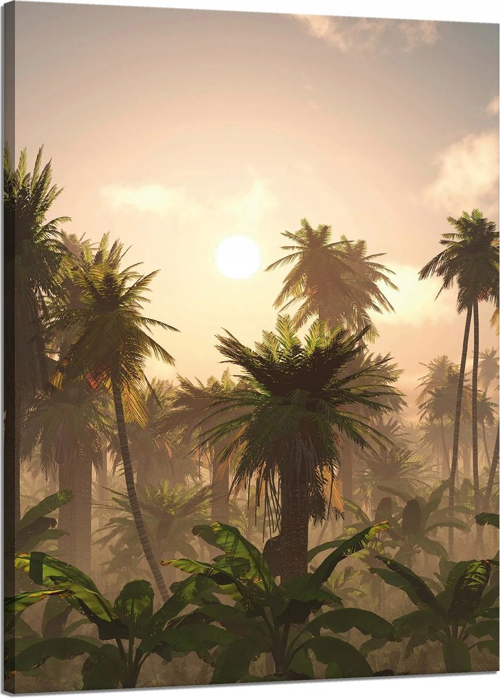 Vászonkép Naplemente Pálmafák Természet 50x70 cm