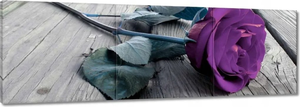 Vászonkép 150x50 Lila rózsa Padló