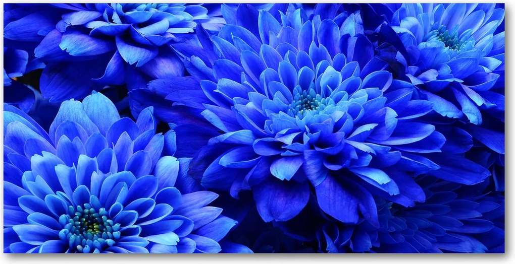 Konyhai panel Kék aster 120x60 cm Ragasztó