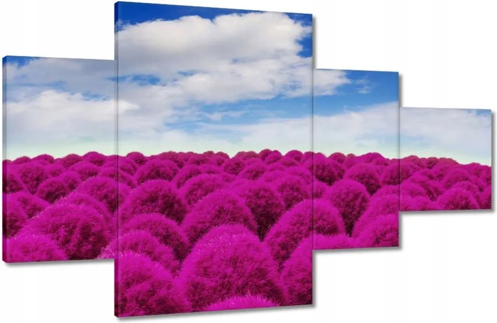 Festmények 130x80 Kifejező rét Tájkép