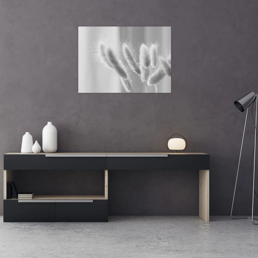 Üveg kép - Nyuszi farok fű (70x50 cm)