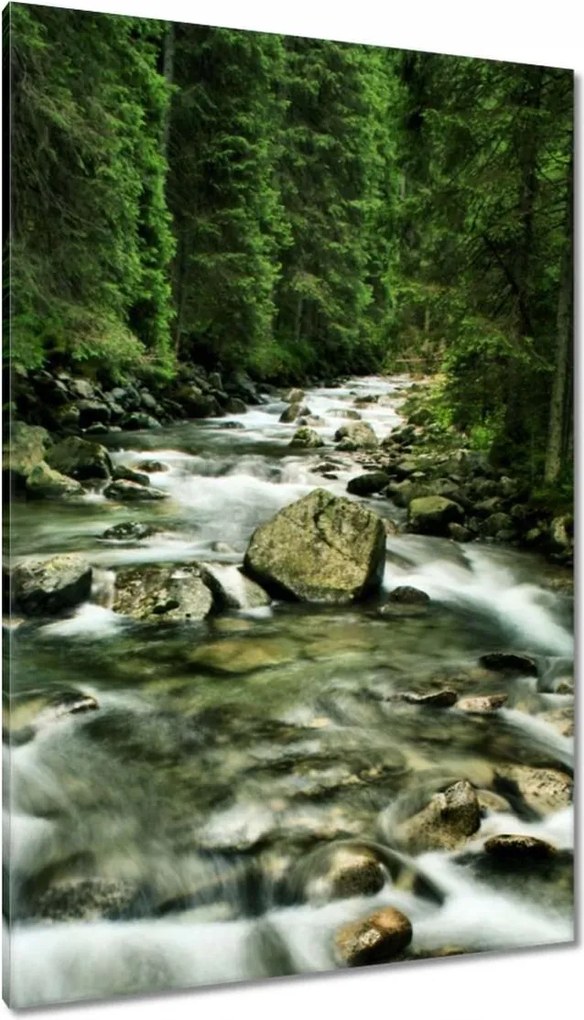 Festmények 80x120 Folyó a Tátrában