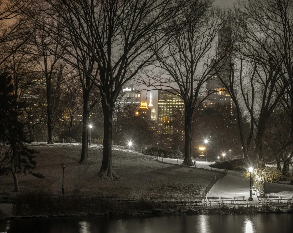 Poszter 76x60,5cm Central Park éjszaka, Assaf Frank