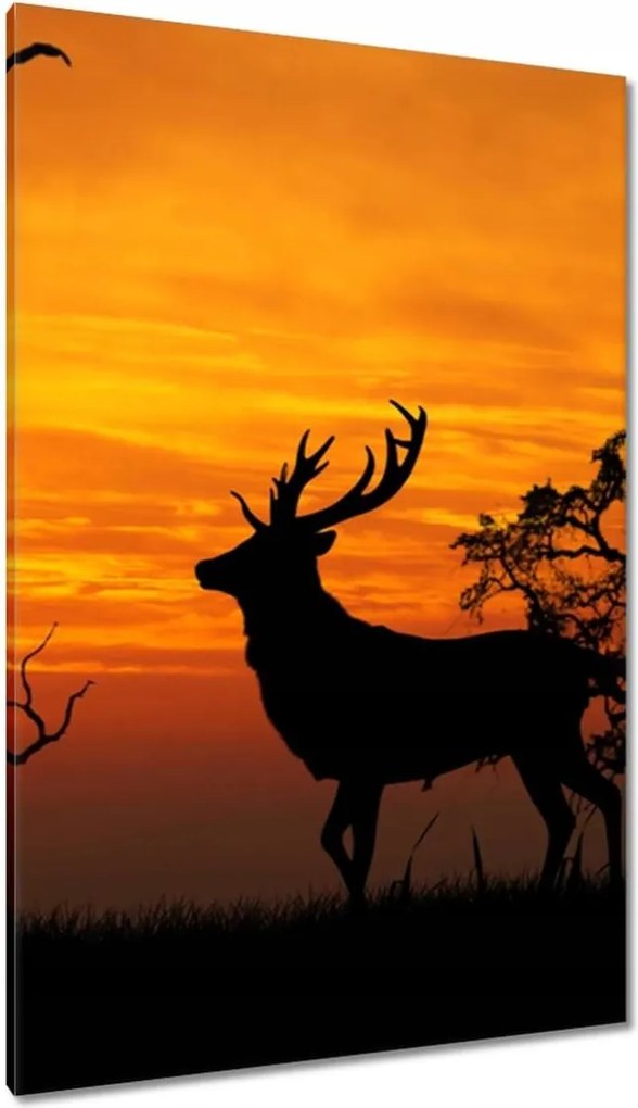 Vászonkép 80x120 Szarvas