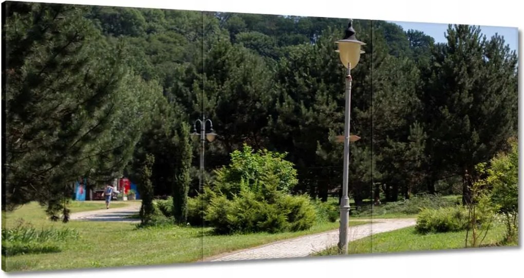 Vászonkép 180x90 Zöld park fákkal