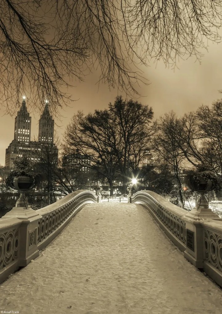 Poszter 21x29,7cm Central Park Bow Bridge Manhattan panorámával, Assaf Frank