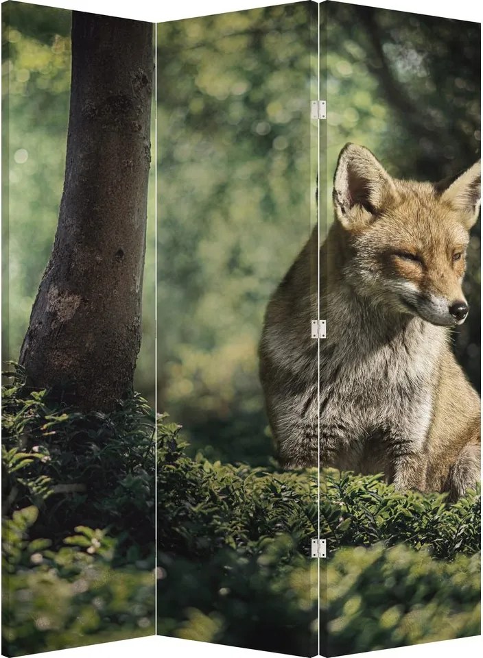 Paraván - Róka (126x170 cm)