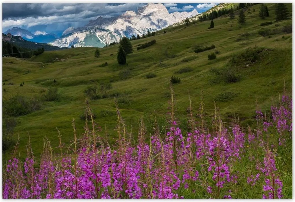 Poszterek 185x125 Tájképek Kilátások Tájképek