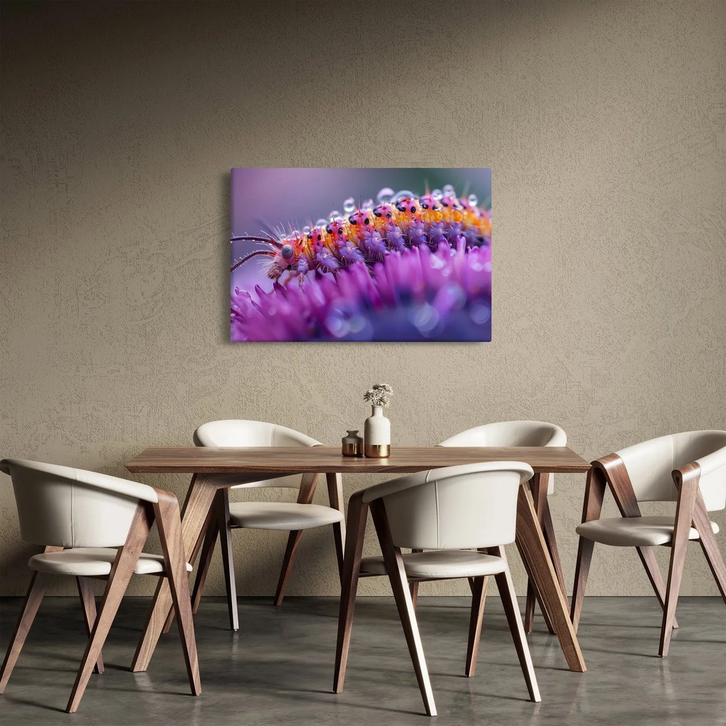 Kép - Caterpillar (90x60 cm)