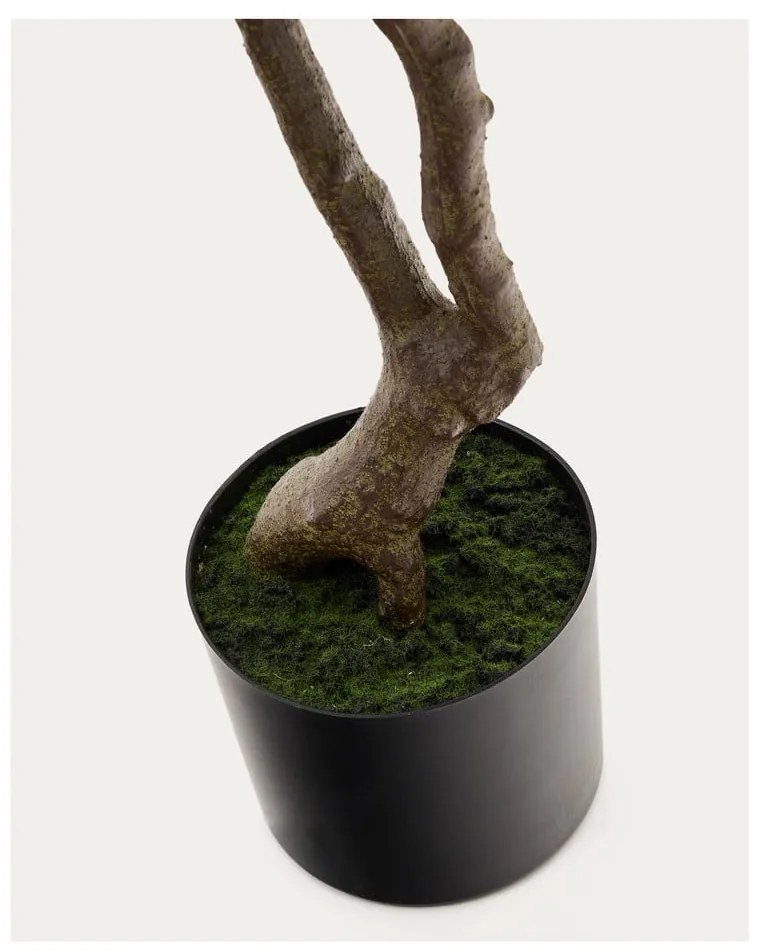 Műnövény (magasság 180 cm) Pachira – Kave Home