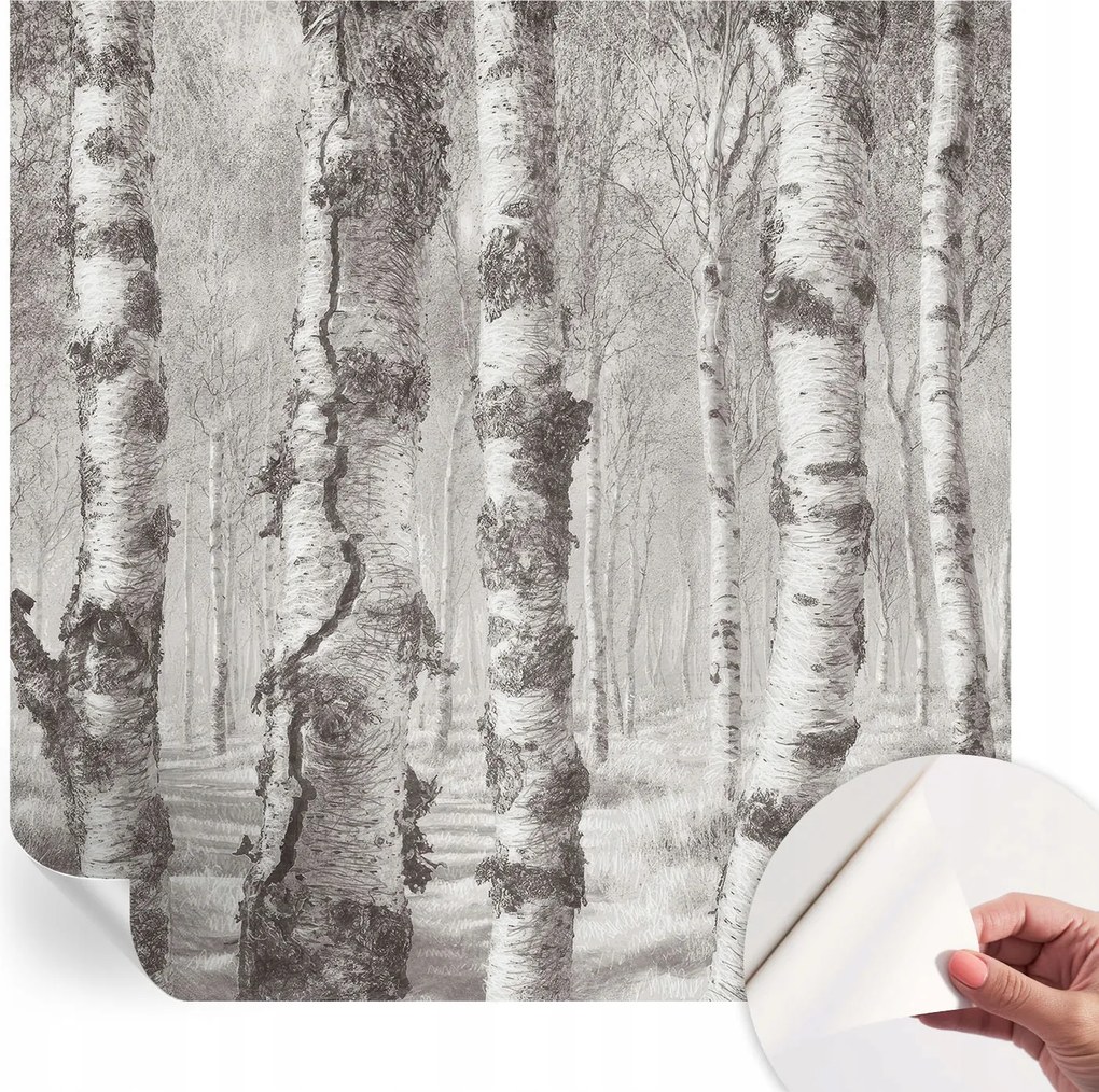 Fotótapéta Dekoratív Fali Tapéta Képekkel Nyírerdő 250x250