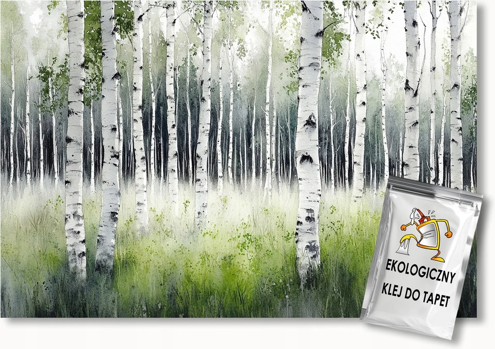 Fotótapéta Flizelina Természet Erdő Park Nyírfák 400x280 ragasztó