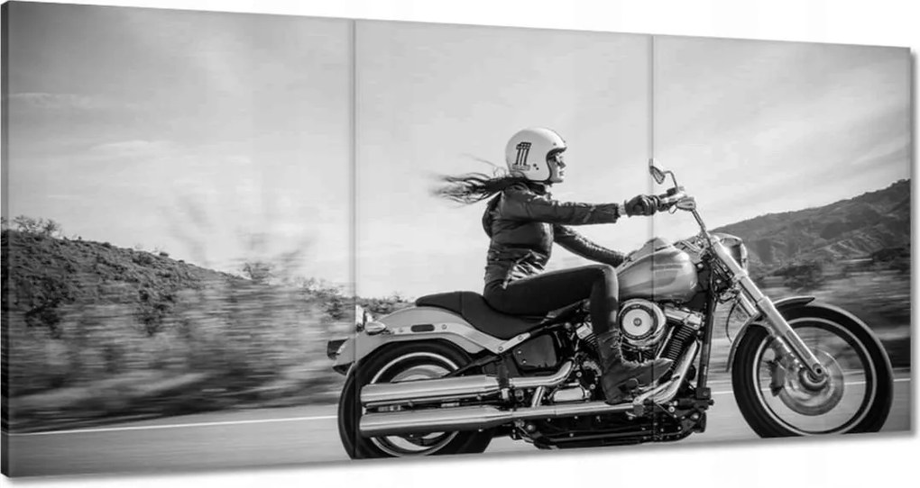 Képek 180x90 Harley Davidson Motorkerékpár