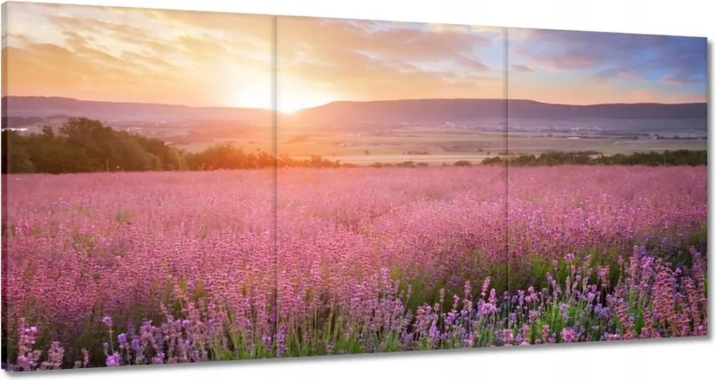 Vászonkép 180x90 Csodálatos naplemente