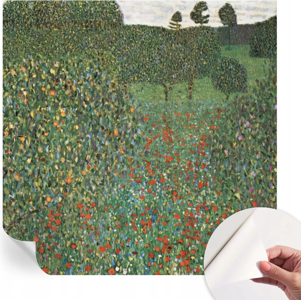 Öntapadós Dekoratív Fotótapéta Hálószobába Virágos rét 250x250 cm