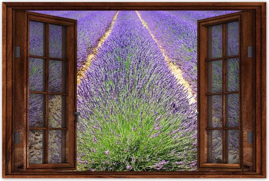 Poszterek 90x60 Levendula