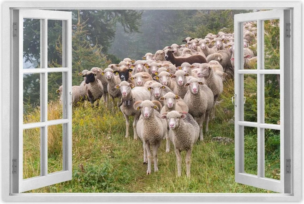 Poszterek 90x60 Juh legeltetés Bárányok Juhok
