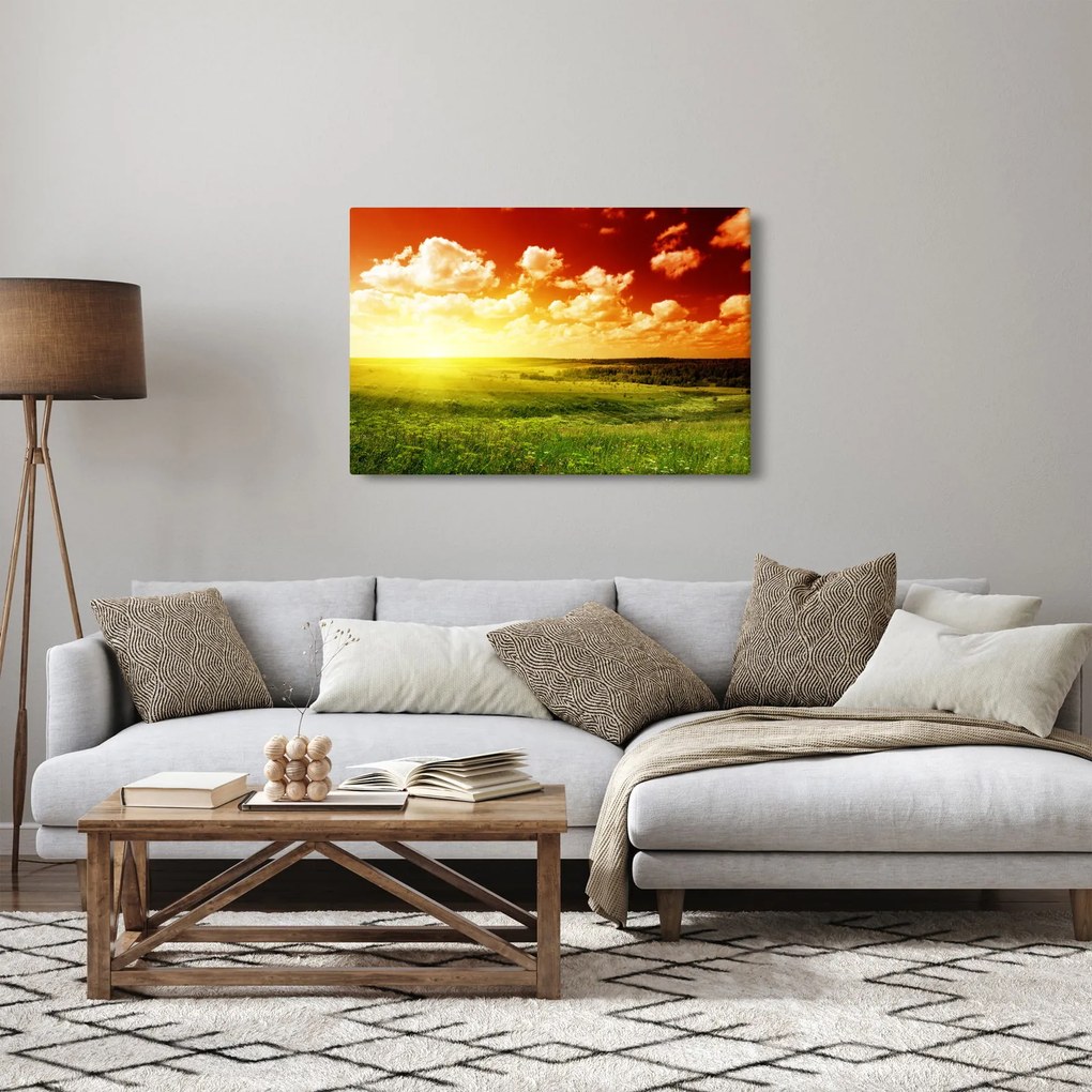Rét képe ragyogó napfénnyel (90x60 cm)