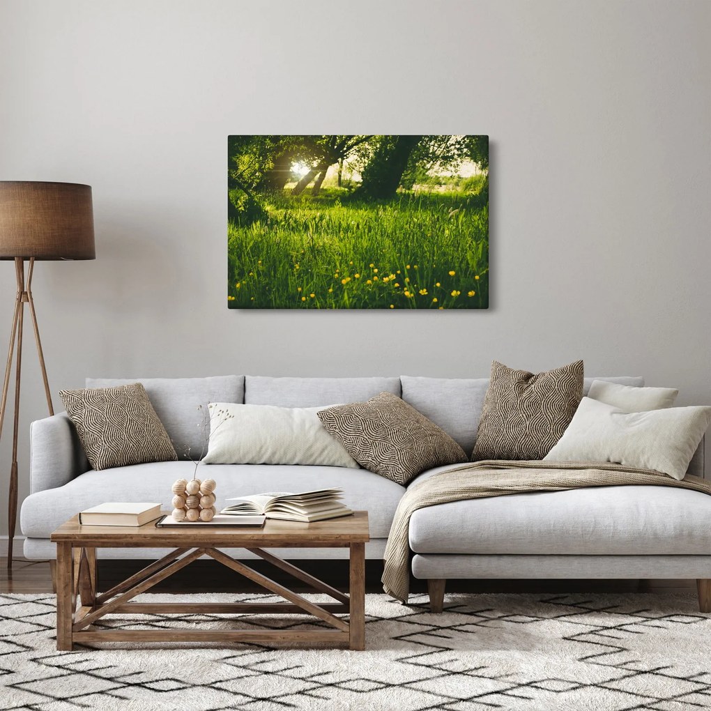 Tájkép - rét (90x60 cm)