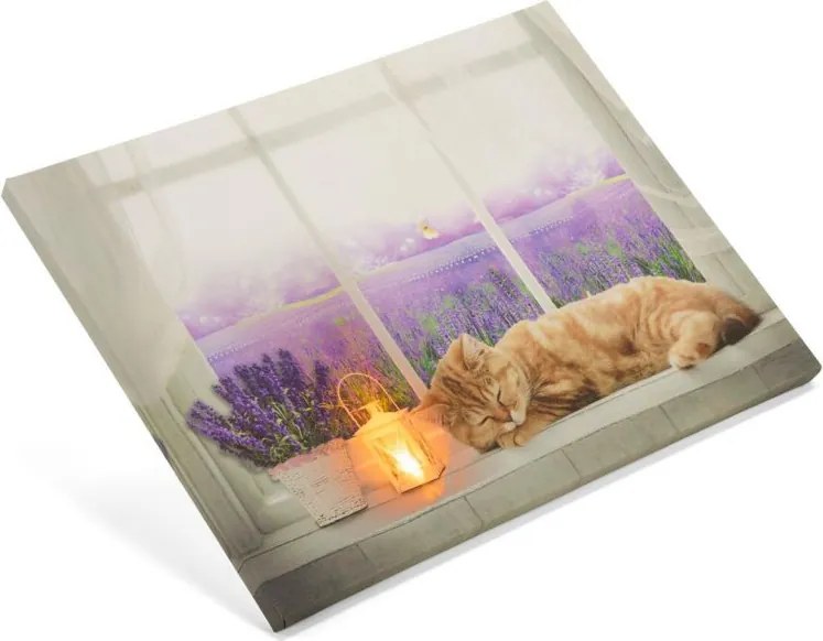 NEXOS Falikép macska az ablakon 1 LED 30 x 40 cm