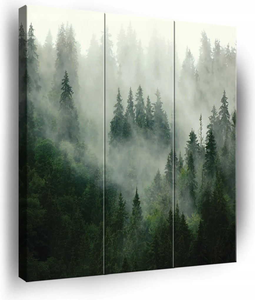 Vászonkép Erdő A Ködben Falra 3 Részes Triptichon Hálószoba Nappali 90x100