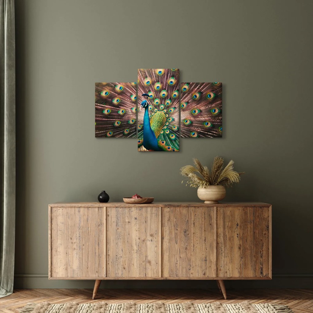 Kép - Páva (90x60 cm)
