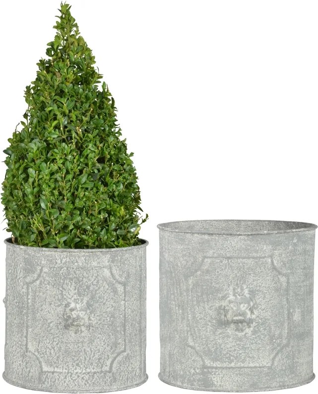 Oroszlán mintás kerek virágtartó szett