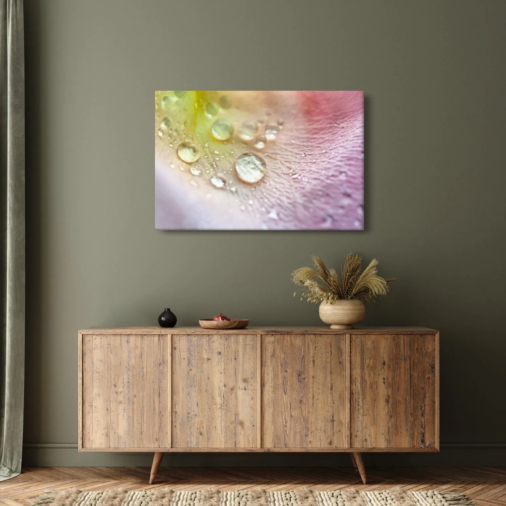 Kép - Harmatcseppek (90x60 cm)