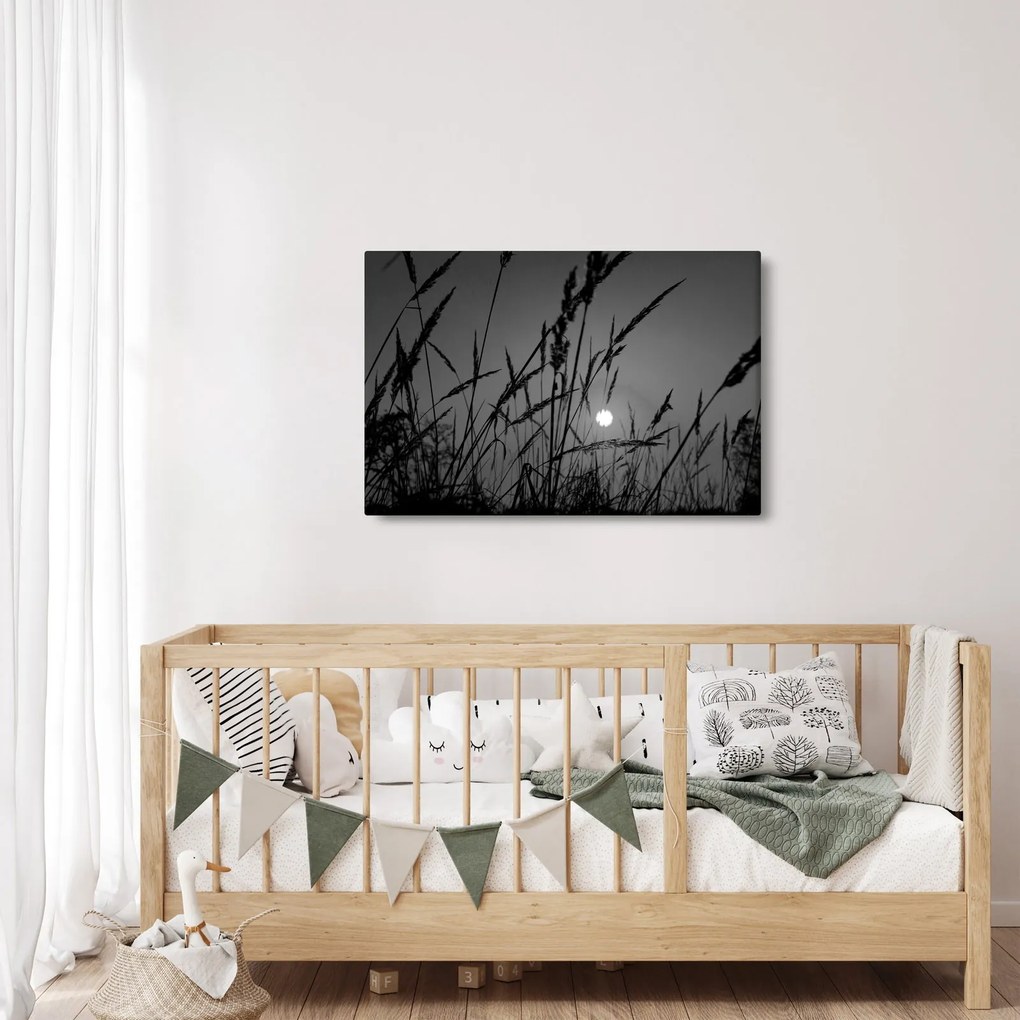 Kép - rét naplementével (90x60 cm)