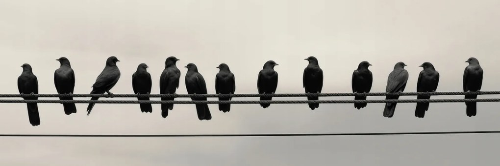 Poszter 91,5x30,5cm Konferencia a Magasságban