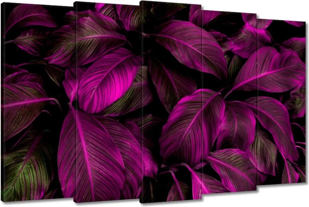 Vászonkép 150x95 Gyönyörű fukszia levelek