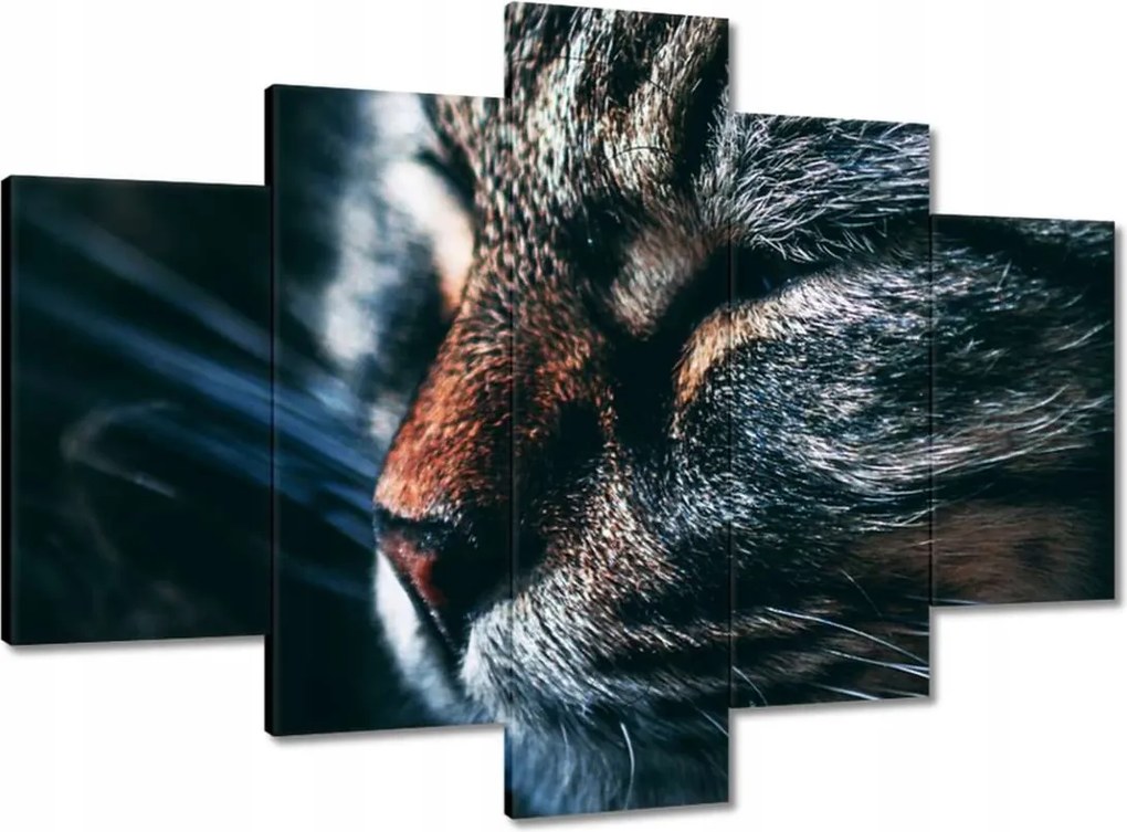 Képek 150x105 Cica Cicák