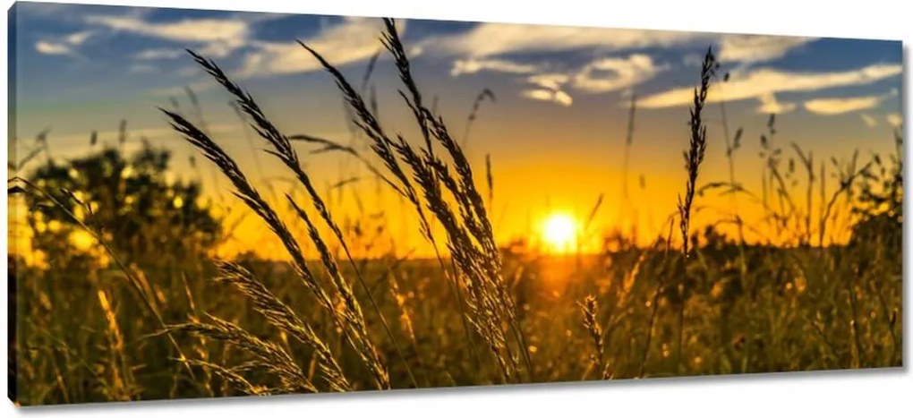 Vászonkép 100x40 Naplemente a füvek között
