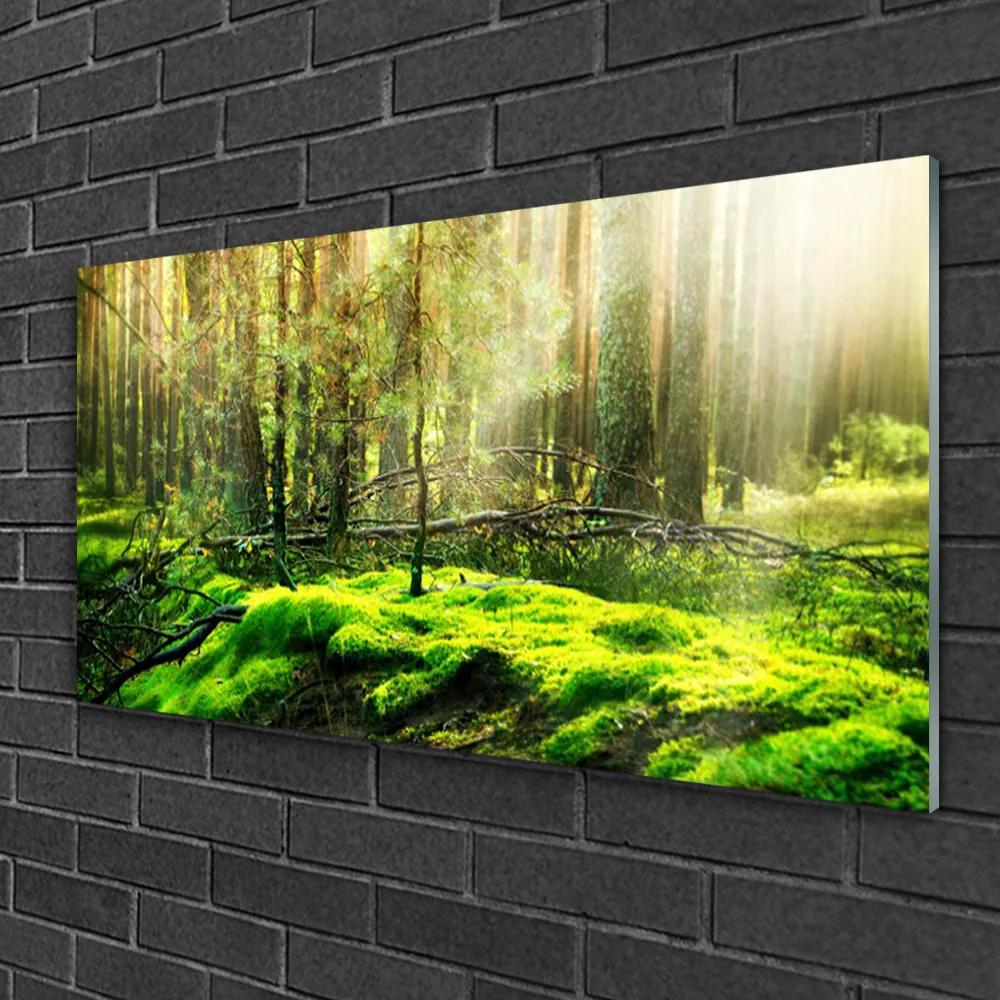 Fali üvegkép Forest Moss Természet 125x50 cm