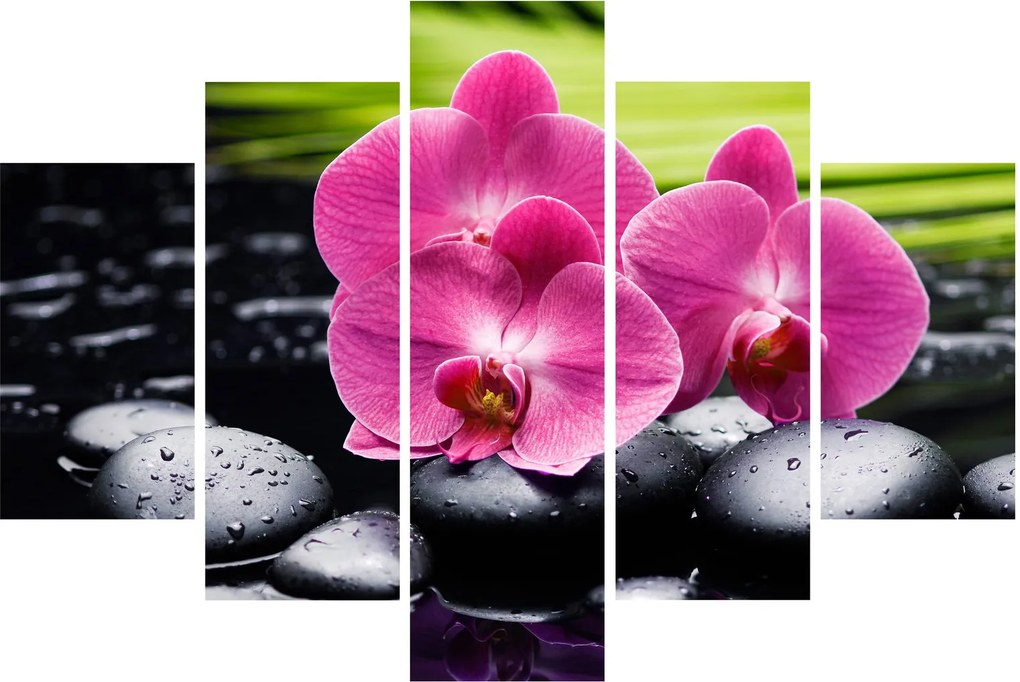 Kép - Rózsaszín orchidea pálmalevéllel (150x105 cm)