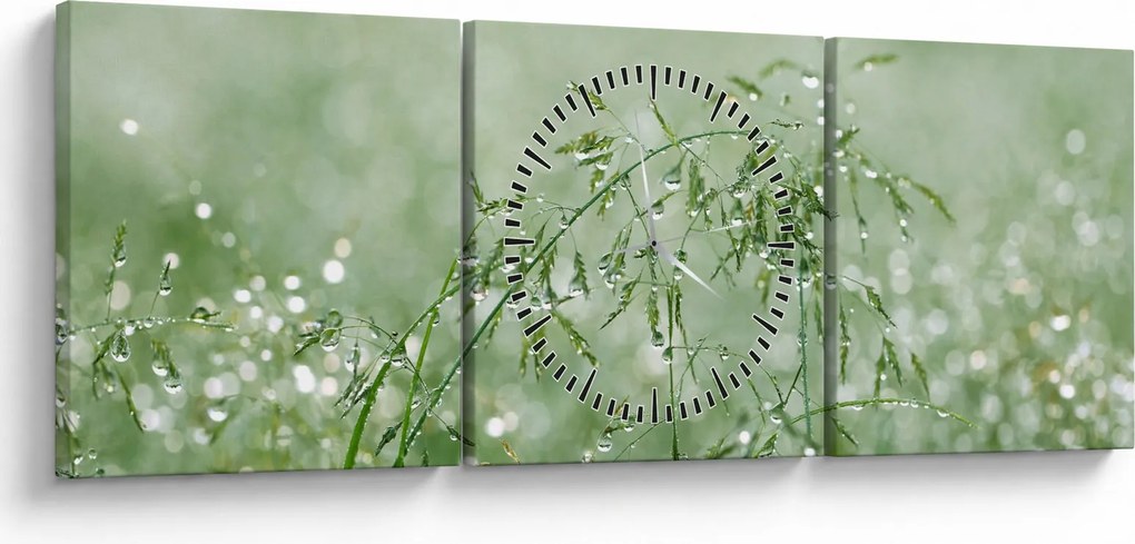 Kép - Harmat a fűben (órával) (90x30 cm)
