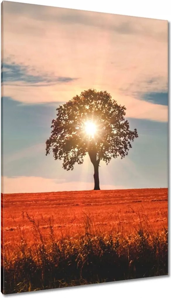 Festmények 80x120 Kilátás Tájkép