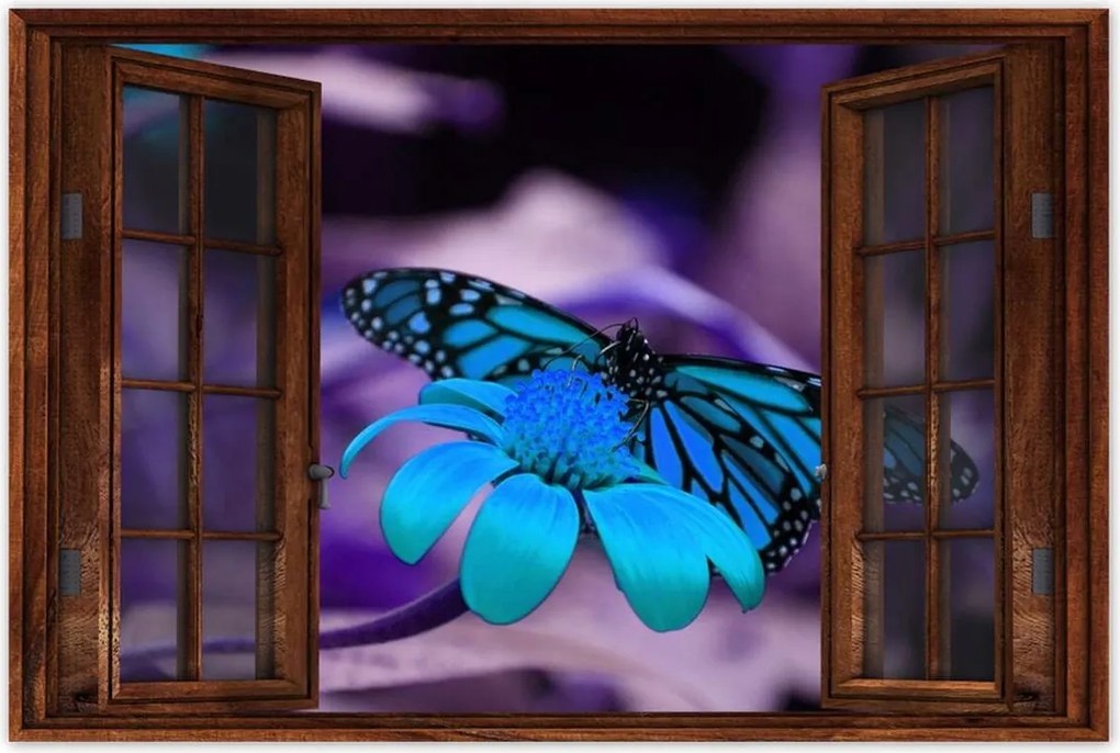 Poszter 60x40 Kék pillangó