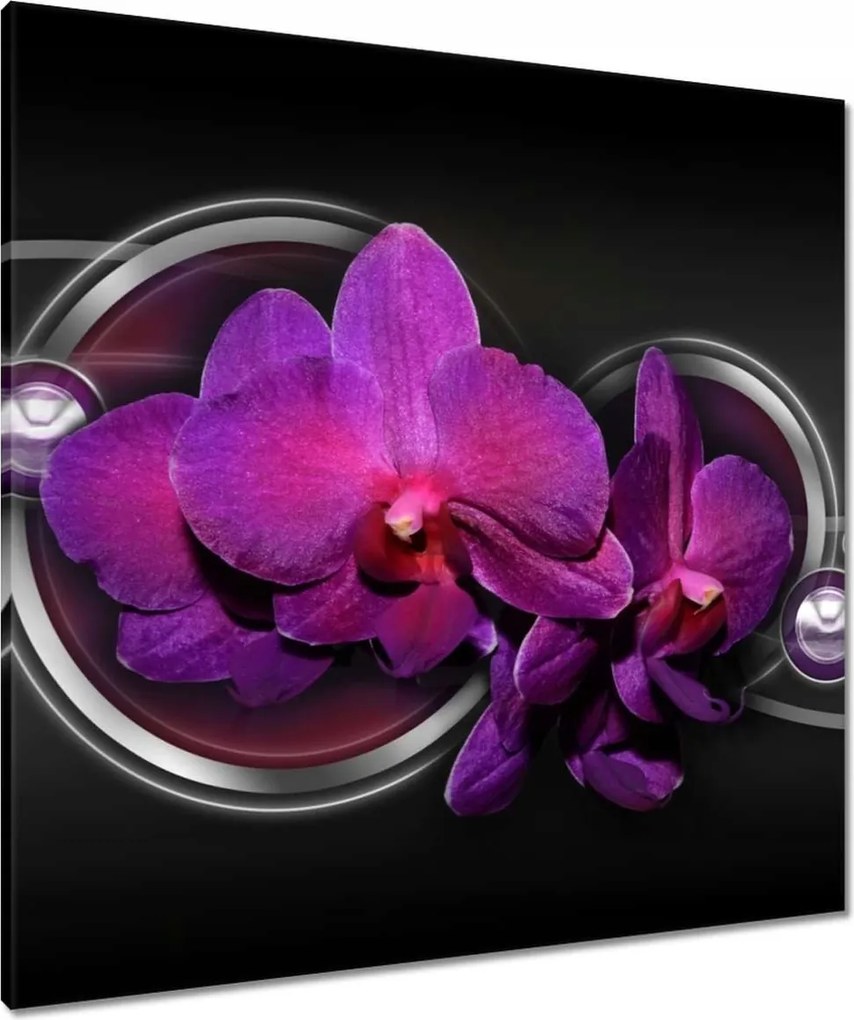 Vászonkép 80x80 Lila orchidea