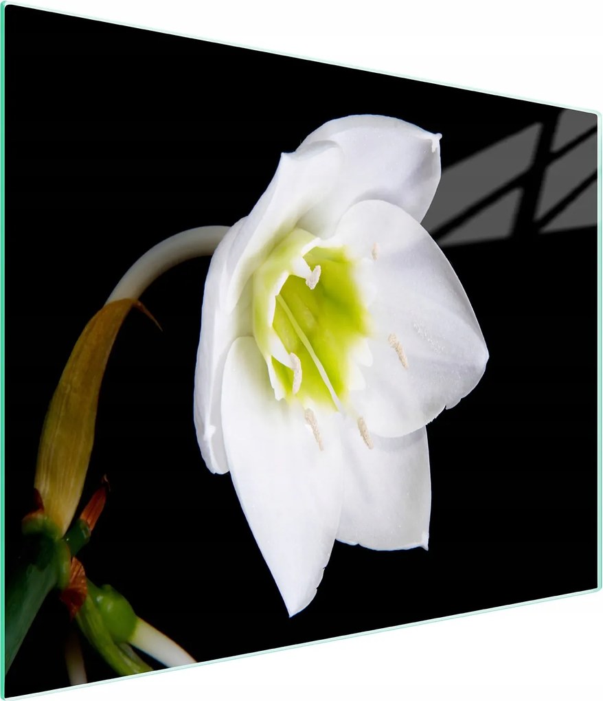 Üveg Vágódeszka 52x30 Orchidea Edzett Üveg