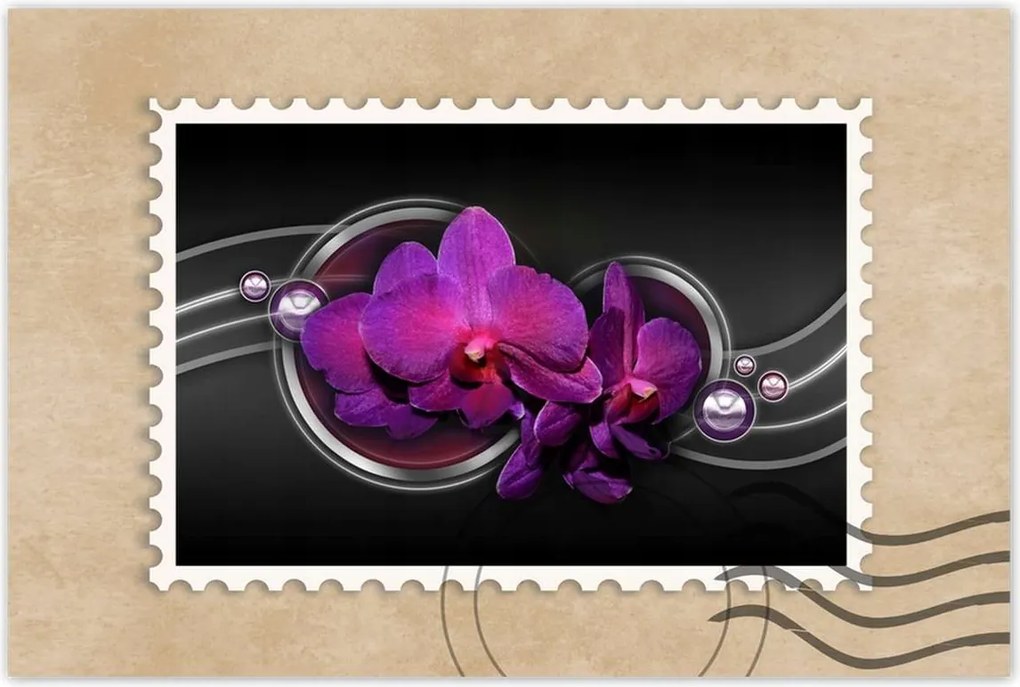 Poszter 60x40 Lila orchidea