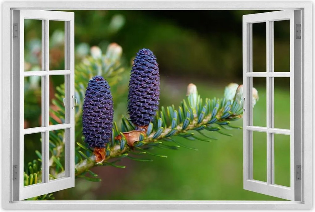 Poszterek 90x60 Lila tobozok