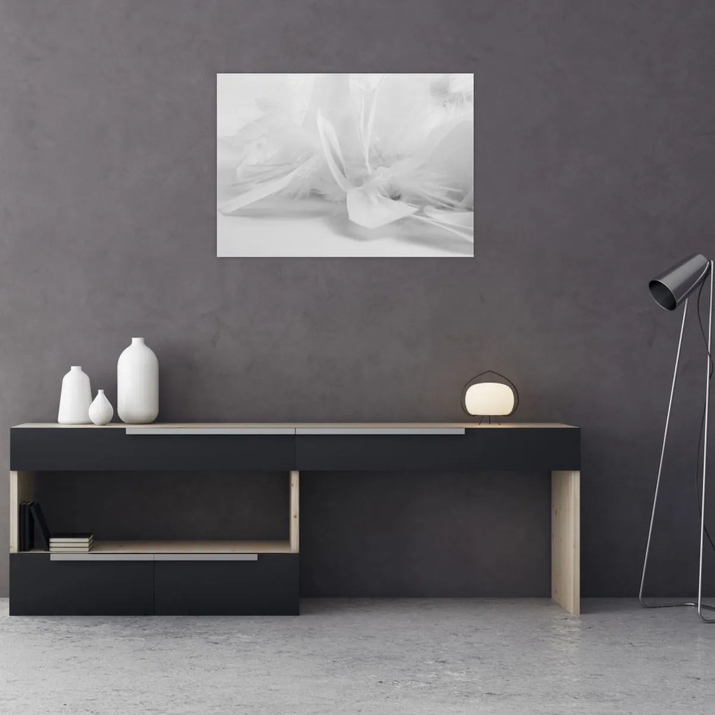 Üveg kép - Tollak (70x50 cm)