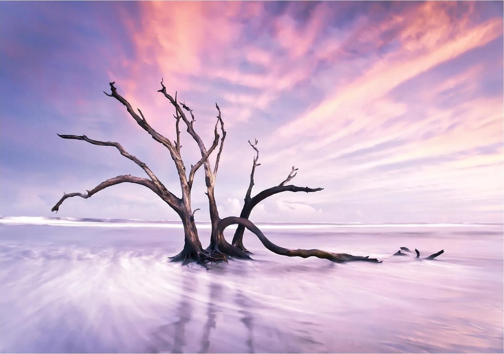 Fotótapéta tengerpart tenger ég fotótapéta 368 x 254