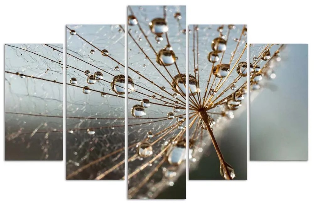Gario Vászonkép Harmatcseppek és pókháló - 5 részes Méret: 200 x 100 cm
