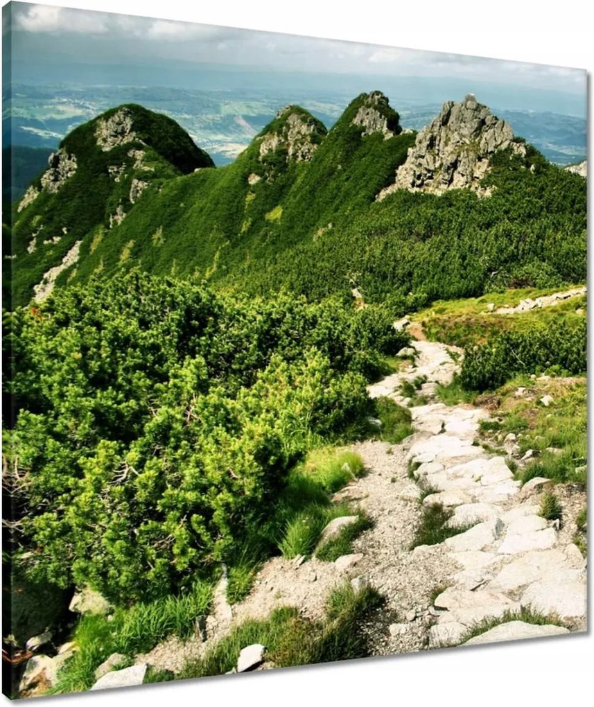 Vászonkép 60x60 Tátra hegyei