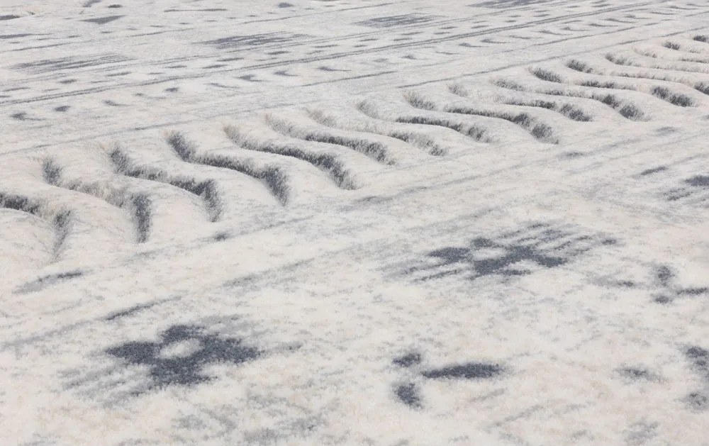 Fehér gyapjú szőnyeg 170x240 cm Masi – Agnella