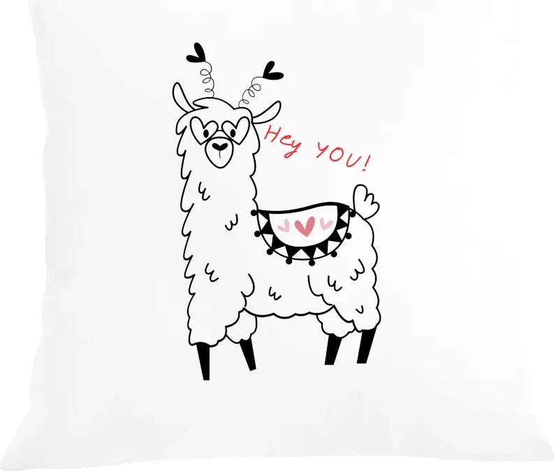 Párna párnahuzat vicces Alpaka Hey You