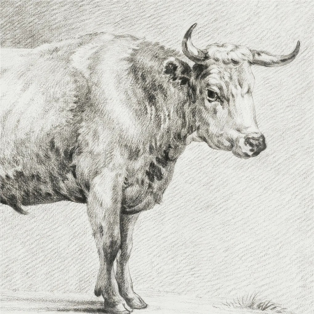 Fotótapéta Flizelina Nappali és Hálószoba Bika ceruza 250x250 Ragasztó